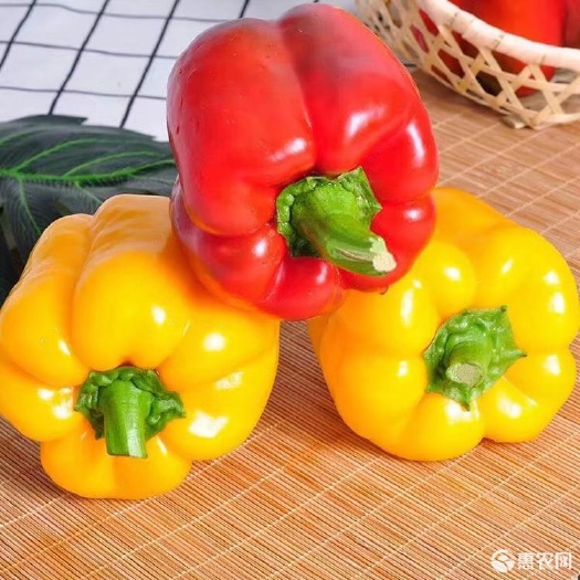 延川县陕西精品彩椒