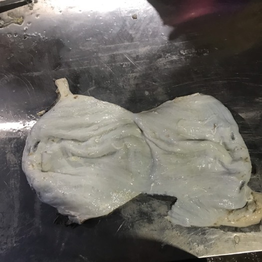 大厂县毛肚  净板百叶v饭店可直接上盘