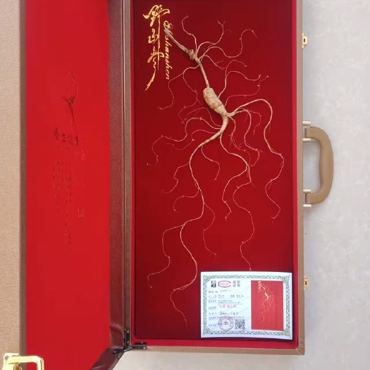 宽甸县60版石柱参礼盒（17年参）正宗柱参之乡石柱子出品