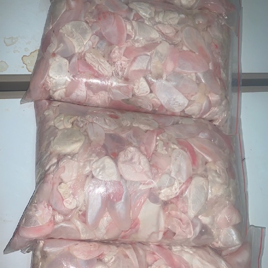 新鲜鲤鱼籽鱼泡，现杀现销