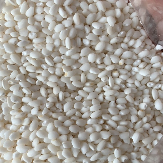 枞阳县糯米  精制太湖糯  可按制作需求加工不同规格  全自动化