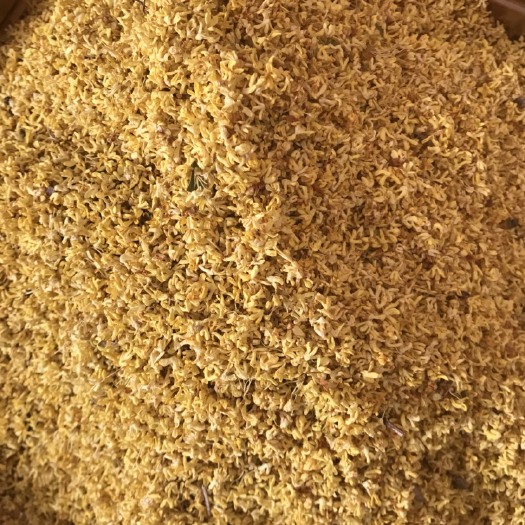 阳朔县 桂花瓣 精选优质桂花干