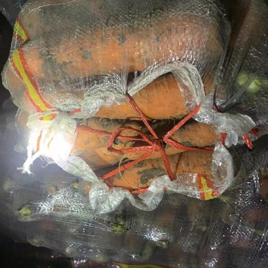 鸡西 胡萝卜价格便宜，可水洗