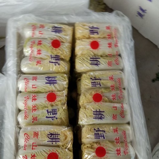 宜城市 黄心娃娃菜