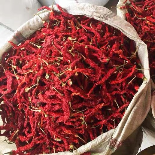 茶陵县精选有把干线椒特香微辣皱皮线椒产地直销