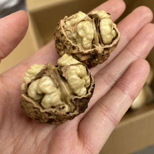 薄皮核桃云南大理薄壳核桃 皮薄肉厚 味香手可以捏开壳自然晾晒