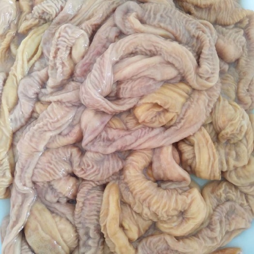 牛肠 牛小肠，