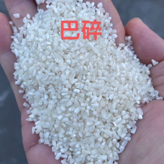 深圳碎米 巴基斯坦白米碎