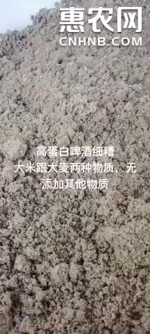池州啤酒糟，脱水真空包装酒糟