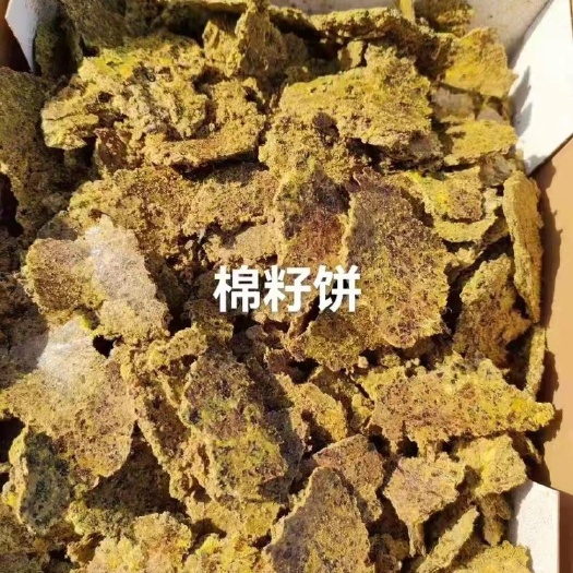 正定县糠饼 棉子饼