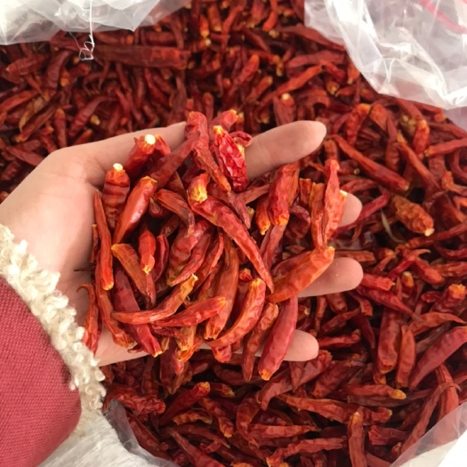 凭祥市 越南干辣椒