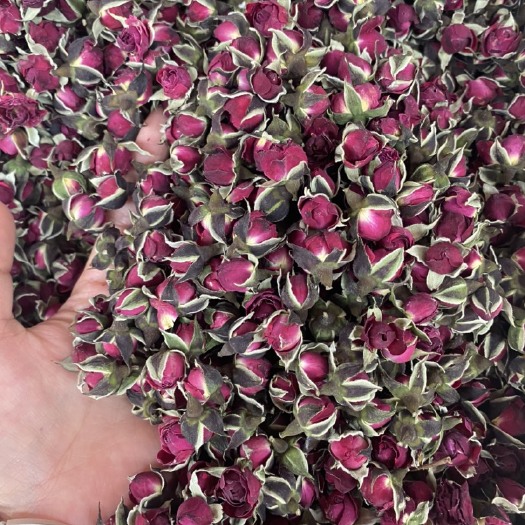 昆明玫瑰花茶 云南金边玫瑰 优质玫瑰产地批发一首货源随即发货