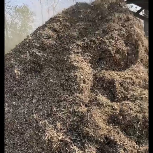 固镇县 精品黄白花生秧