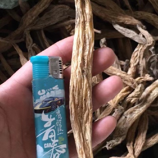 环江县百部干个子
