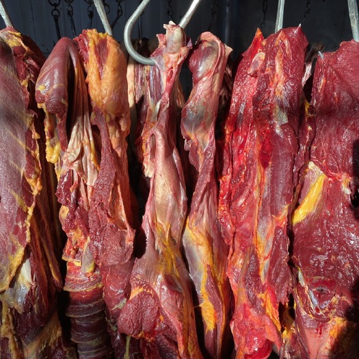 宁津县肉马  鲜马肉，纯干货无注水，每天大量屠宰，货源充足，支持定制