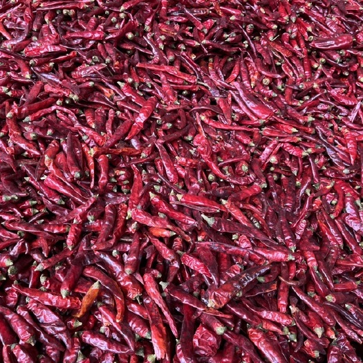 遵义小米椒干辣椒 贵州精品艳椒，产地直销！诚信经营