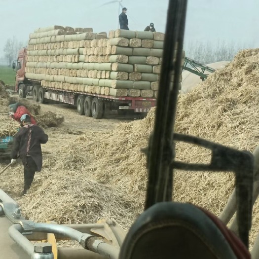 涡阳县秸秆饲料 二次柔丝 质量优良量大从优