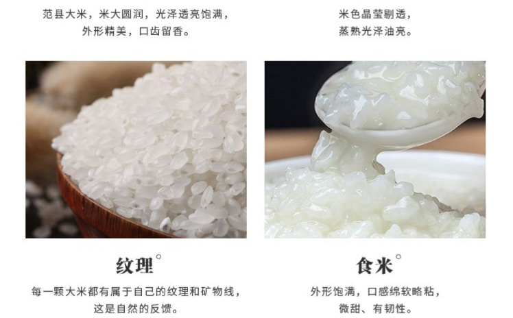 范县粳米 清荷香范县大米