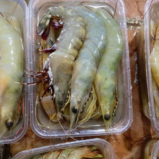 北海对虾，青贝龙，北海明虾，10头左右一斤