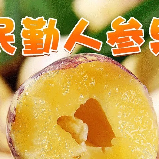 民勤县人参果 民勤人参果圆果桃型果高原人参果低糖原味人生果