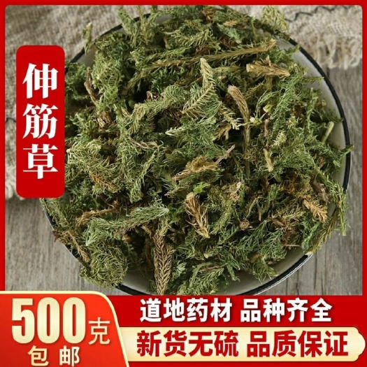 中药材伸筋草 筋骨草 正品新货透骨草舒筋草石松