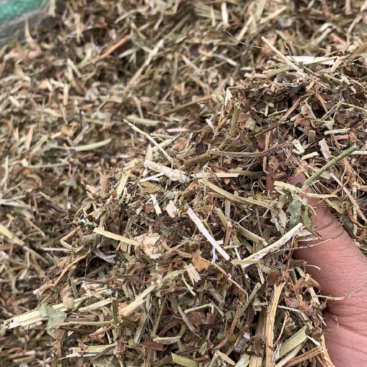 宜城市花生秧 优质草料，产地直销，质量有保证！
