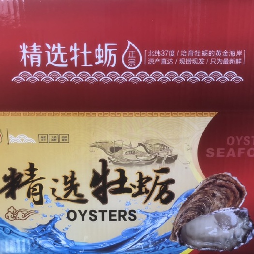 乳山市净化蚝 乳山生蚝