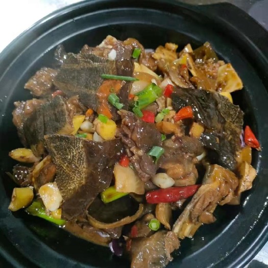 南丰县黄沙鳖 外塘大甲鱼公雄鱼包邮活物现货鲜货滋补