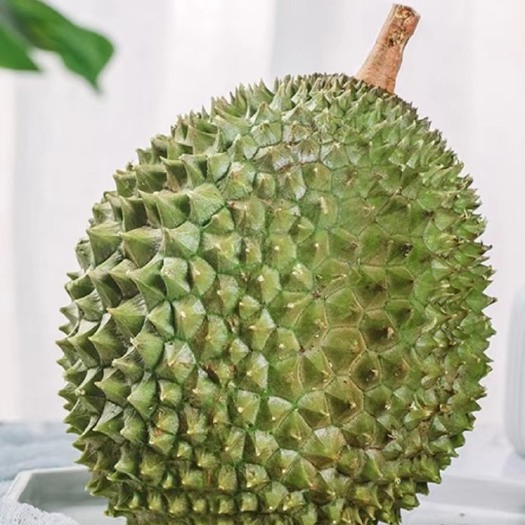 上海 马来西亚猫王榴莲