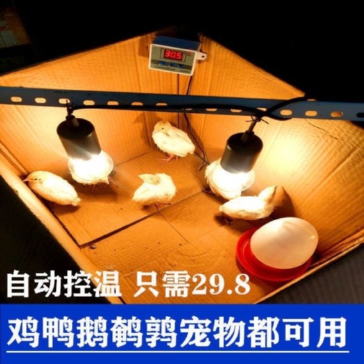 沭阳县增温器 育雏保温灯泡鸡鸭鹅崽保温箱自动控温设备养殖育雏发热灯保温取