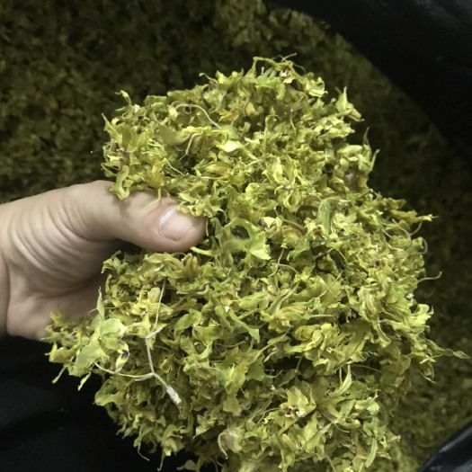 罗定市 石斛花