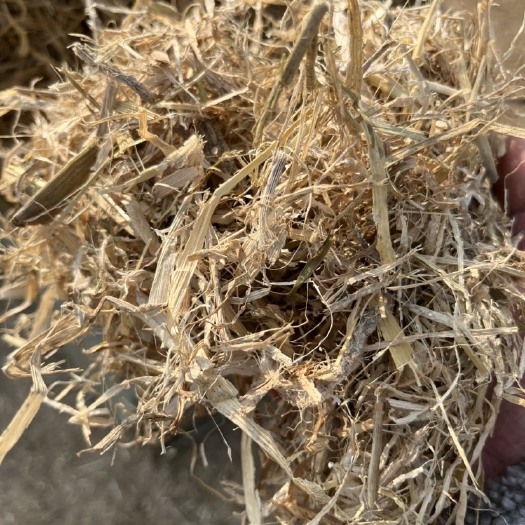 宿州玉米秸秆 无土无膜粉碎除尘小方包 牧草 牛草 干草 玉米草