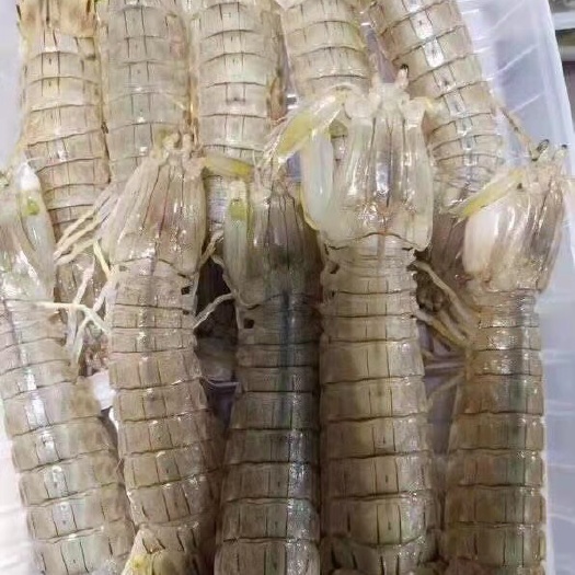 腌制皮皮虾虾爬子