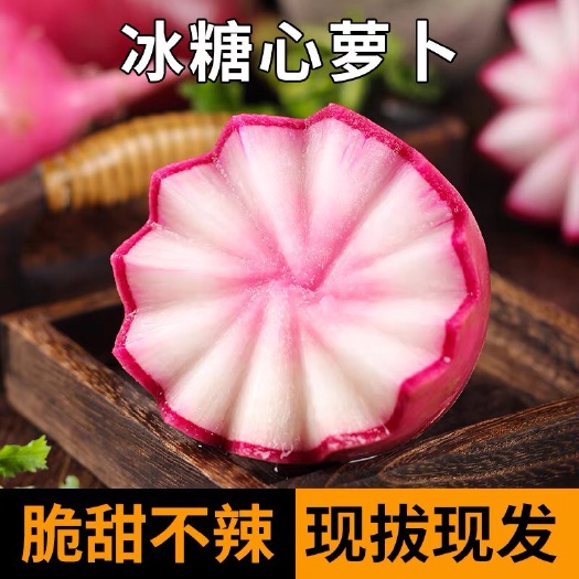 壽光市鳳梨蘿卜冰激凌水果蘿卜 山東壽光自產(chǎn)自銷 3-5斤 一件代