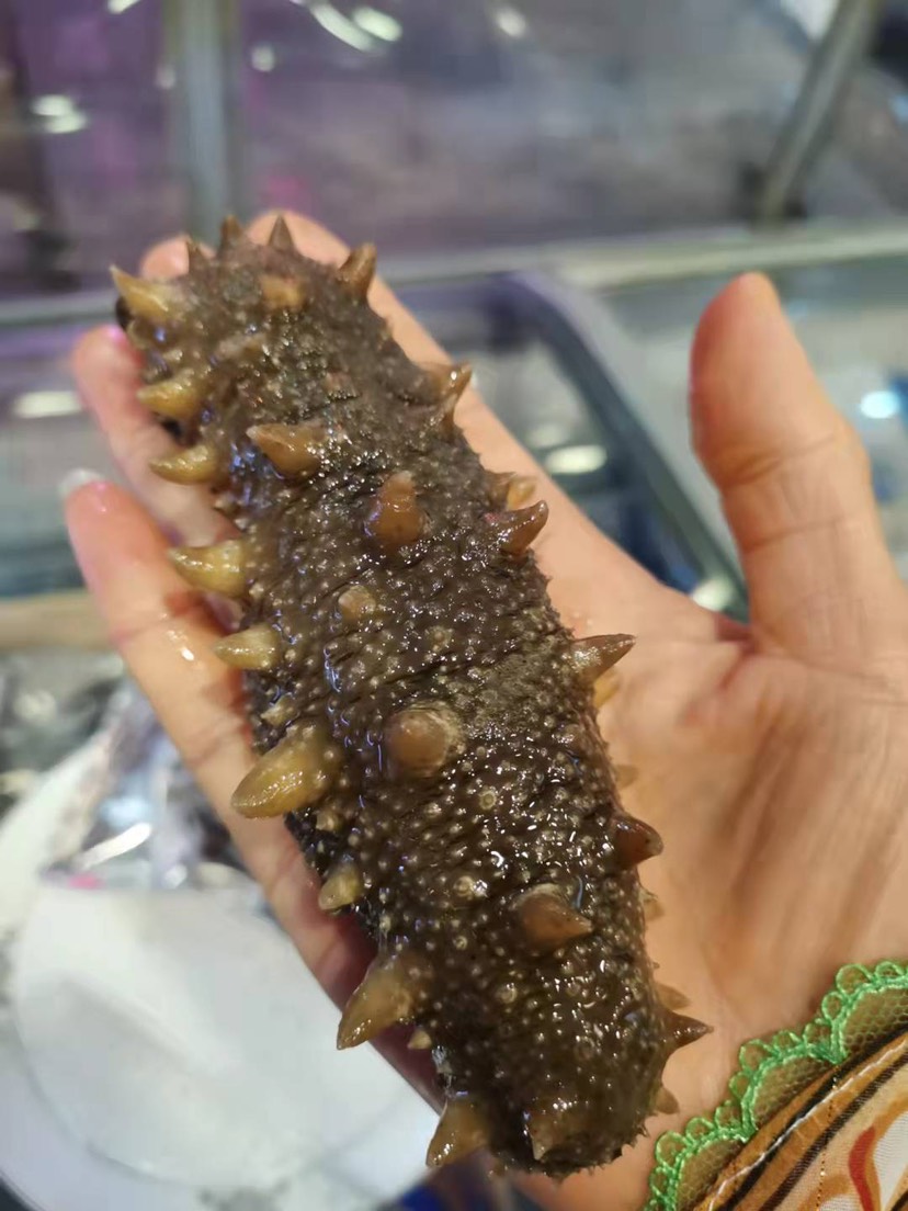 即食海参 大连即食，高中低端，工厂直出