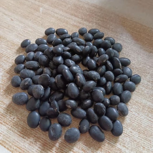 舞阳县自家种植的青仁黑豆