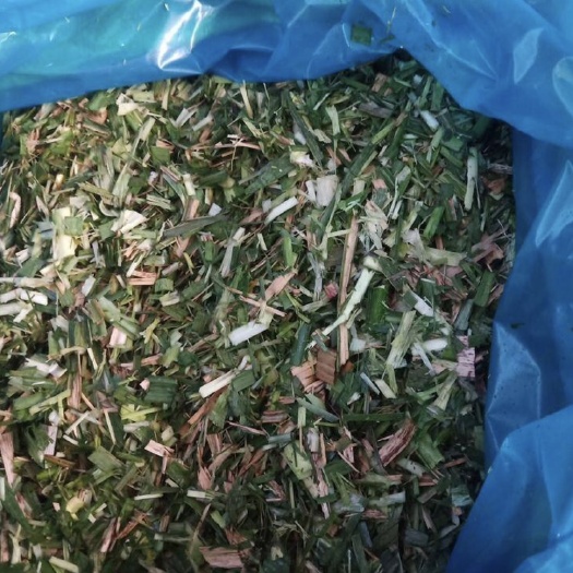 柳城县蔗尾青贮 广西柳州蔗糖主产区，蔗季出产大量蔗尾，可大量供应…