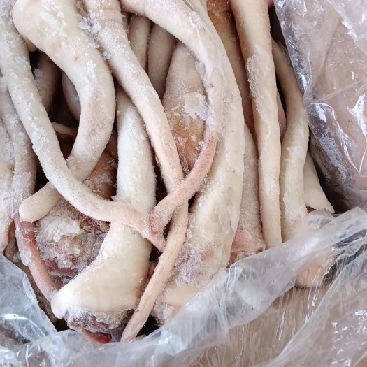 商丘猪肥膘 