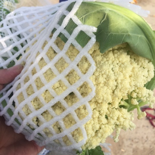 通许县有机花菜菜花，基地大量供应
