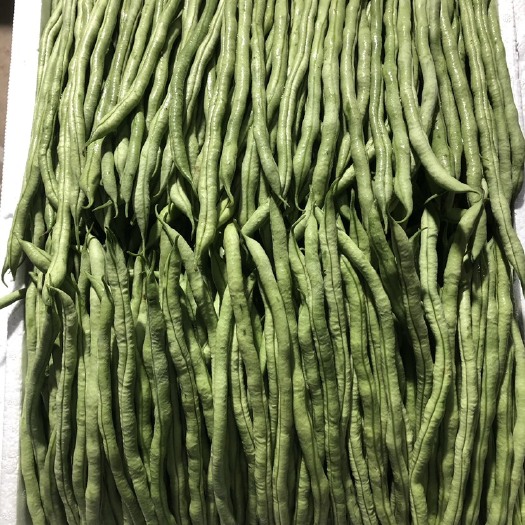 无筋四季豆  【精品】云南西双版无筋豆大量上市.质量好有…