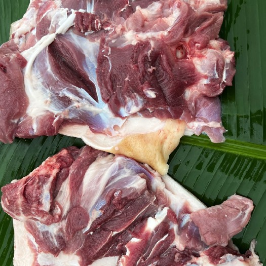 常宁市巴马香猪肉 鲜肉 纯散养365天以上放心肉（支持零售批发）