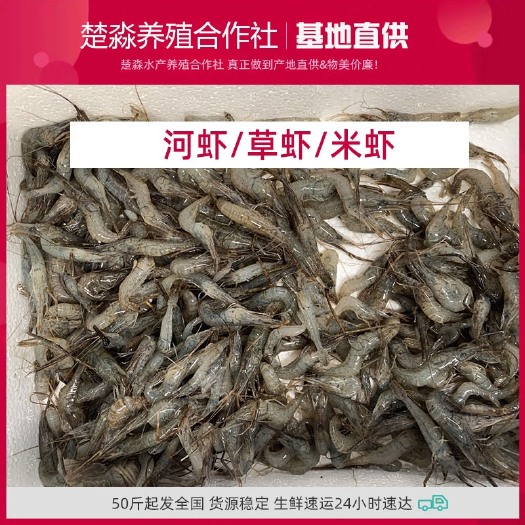 速冻草虾/米虾，清洗干净速冻50斤起发