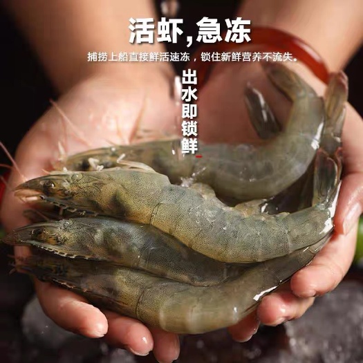 青岛海捕大虾 海鲜对虾 南美白对虾
