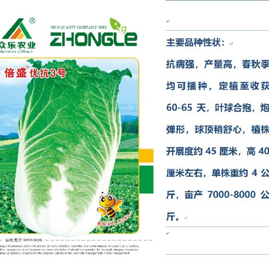 黄心白菜种子 云南高抗病合抱球型大白菜种子单株4kg