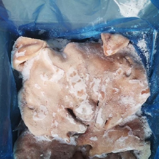 郑州羊头