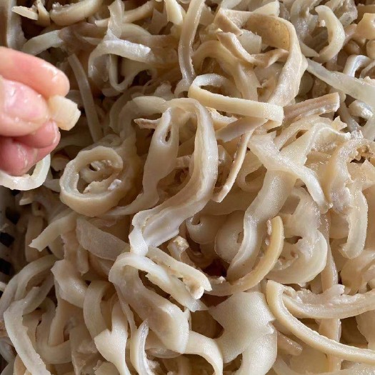 济南 羊皮丝