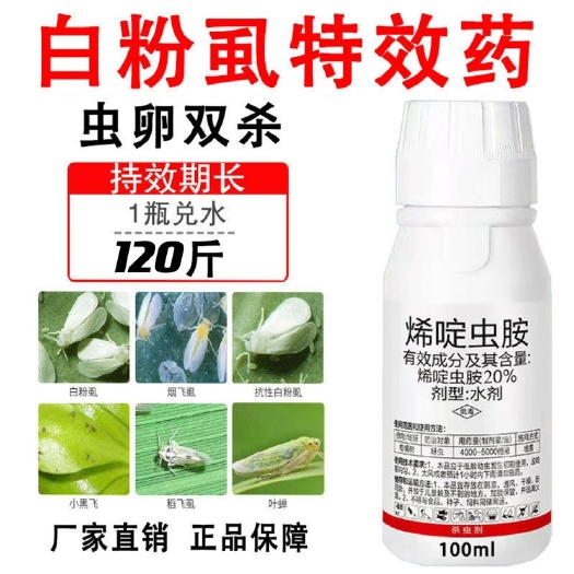 寿光市 抗性白粉虱专用烯啶虫胺稻飞虱蚜虫果蔬花卉白粉虱