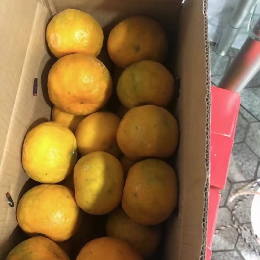 漳州椪柑 长泰芦柑，一级品质，物美价廉