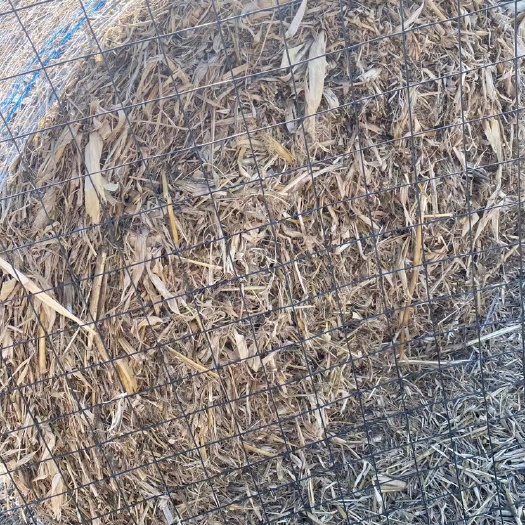 邳州市玉米秸秆小麦秸秆花生秧 大量出售