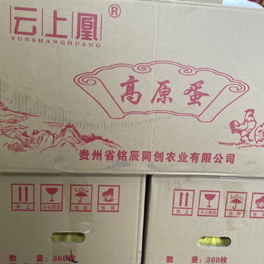 六盘水粉壳蛋 鸡蛋